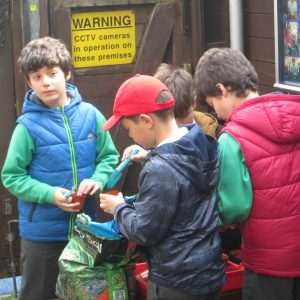 school boys planting seeds