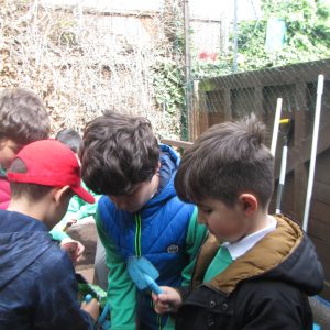 school children gardening